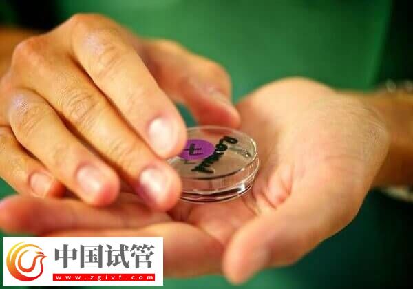 能不能做第四代试管婴儿了(图1) 能不能做第四代试管婴儿了(图1)