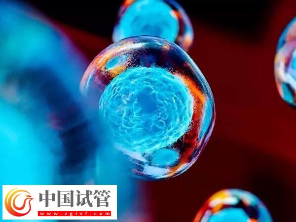 什么是第四代试管婴儿(图3) 什么是第四代试管婴儿(图3)