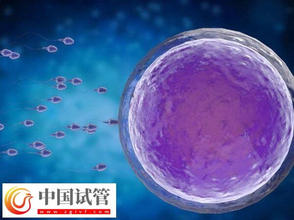 什么是第四代试管婴儿(图2) 什么是第四代试管婴儿(图2)