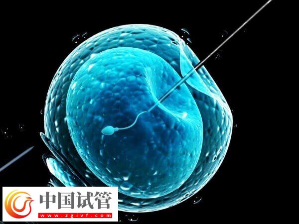 什么是第四代试管婴儿(图1) 什么是第四代试管婴儿(图1)
