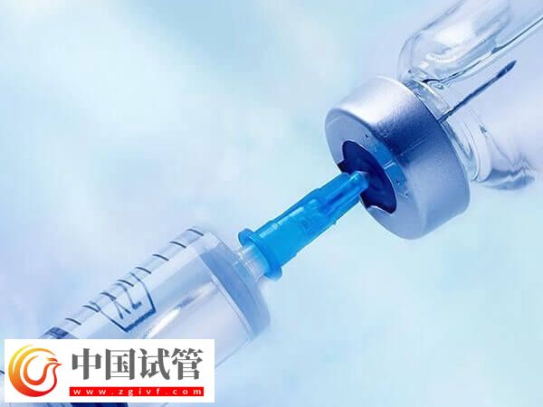 超长方案的卵泡质量会不会好点(图1) 超长方案的卵泡质量会不会好点(图1)