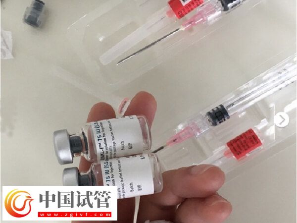 超长方案的卵泡质量会不会好点(图2) 超长方案的卵泡质量会不会好点(图2)