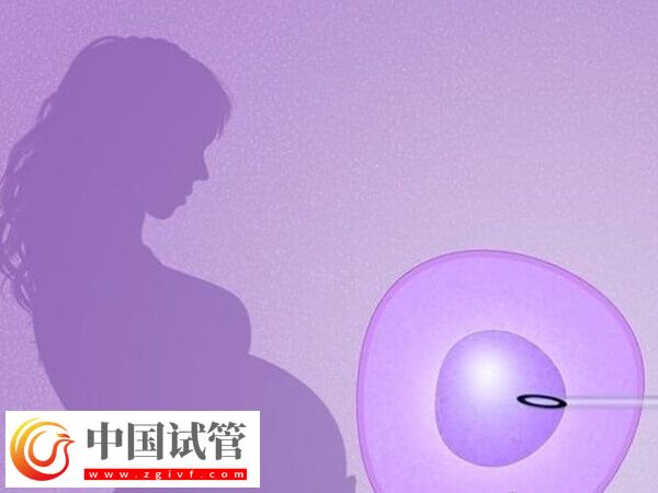拉拉做试管婴儿前要做好什么准备(图1) 拉拉做试管婴儿前要做好什么准备(图1)