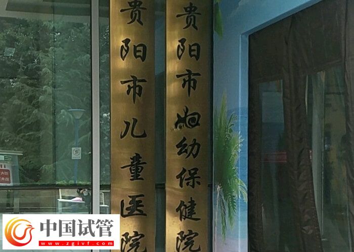 贵阳可不可以做第三代试管婴儿(图2) 贵阳可不可以做第三代试管婴儿(图2)