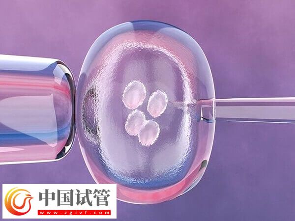 广州哪里可以做试管三代(图2) 广州哪里可以做试管三代(图2)
