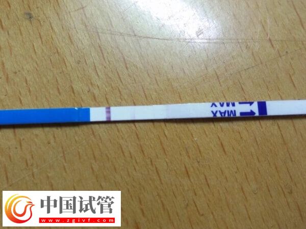 鲜胚移植十天后没测出有没有希望(图3) 鲜胚移植十天后没测出有没有希望(图3)