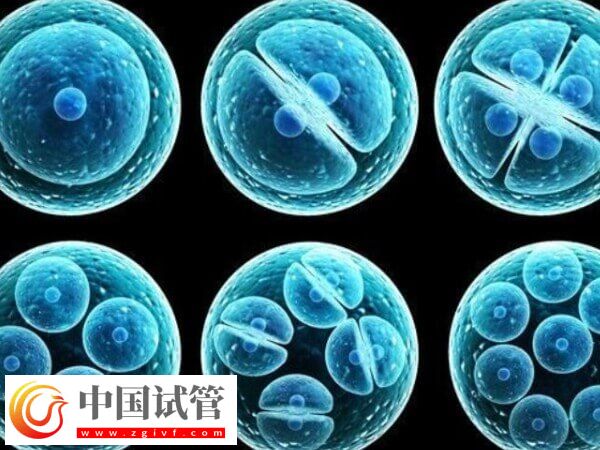 鲜胚移植失败会不会腹痛和流血(图2) 鲜胚移植失败会不会腹痛和流血(图2)