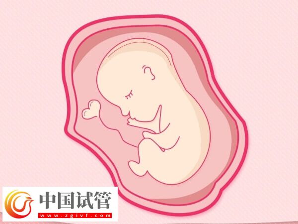 鲜胚移植失败会不会腹痛和流血(图3) 鲜胚移植失败会不会腹痛和流血(图3)