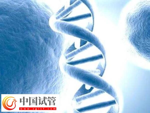 试管移植后有坠痛感正不正常(图1) 试管移植后有坠痛感正不正常(图1)