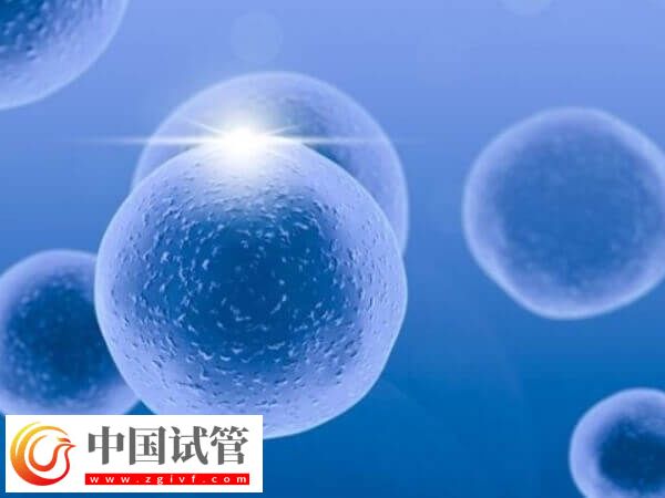 试管移植后有坠痛感正不正常(图2) 试管移植后有坠痛感正不正常(图2)