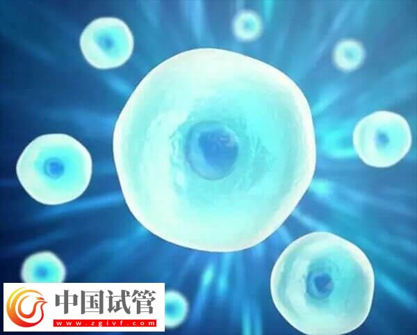 在长春妇产医院做一次试管婴儿的费用是多少呢?(图1) 在长春妇产医院做一次试管婴儿的费用是多少呢?(图1)