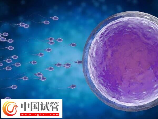 做试管促排卵要注意什么(图2) 做试管促排卵要注意什么(图2)