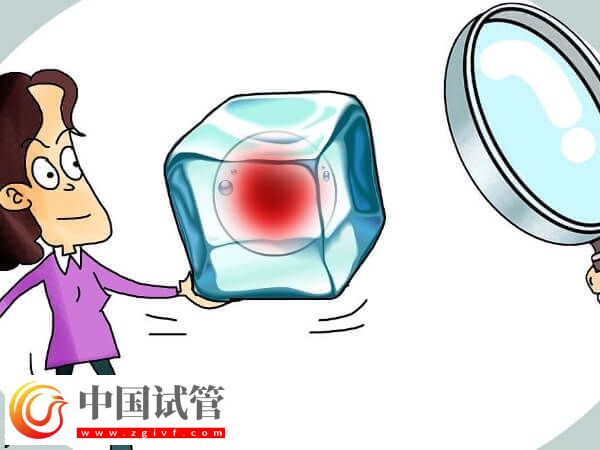 国内为什么禁止单身女性冻卵(图3) 国内为什么禁止单身女性冻卵(图3)