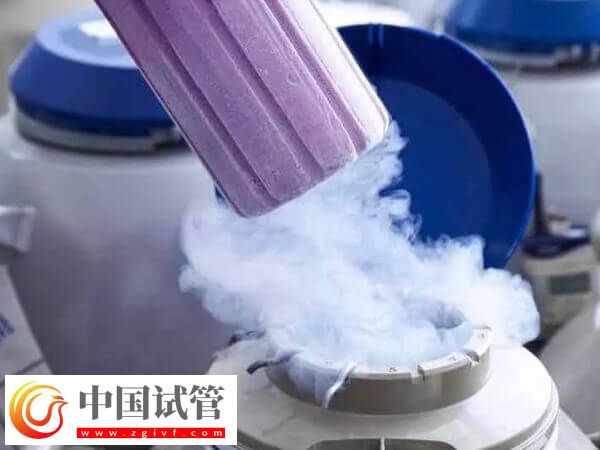 国内为什么禁止单身女性冻卵(图2) 国内为什么禁止单身女性冻卵(图2)