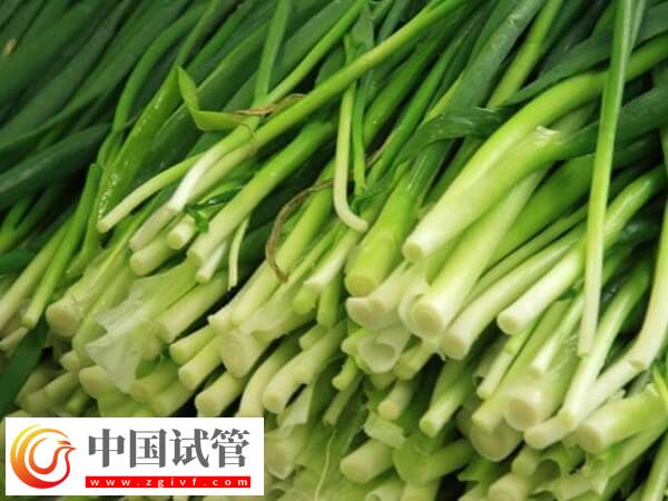 为什么鲜胚移植后不建议吃韭菜?(图1) 为什么鲜胚移植后不建议吃韭菜?(图1)