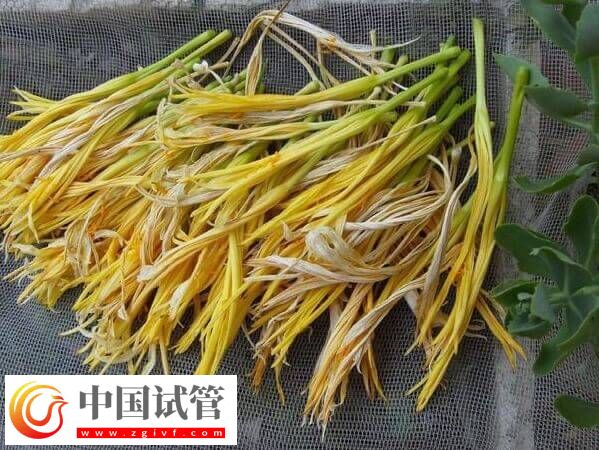 试管移植后吃干黄花菜对身体好不好(图1) 试管移植后吃干黄花菜对身体好不好(图1)
