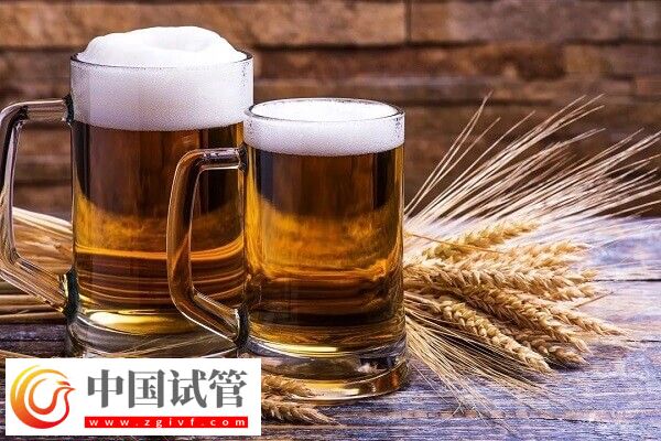 试管移植后喝啤酒有没有影响(图2) 试管移植后喝啤酒有没有影响(图2)