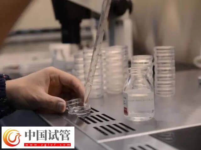 内膜移植窗口期一共查几次(图1) 内膜移植窗口期一共查几次(图1)