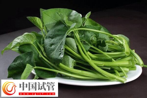 胚胎移植后吃空心菜是否有利于排便(图2) 胚胎移植后吃空心菜是否有利于排便(图2)