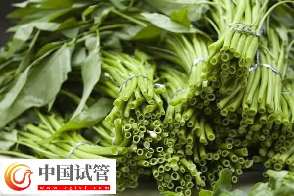 胚胎移植后吃空心菜是否有利于排便(图3) 胚胎移植后吃空心菜是否有利于排便(图3)