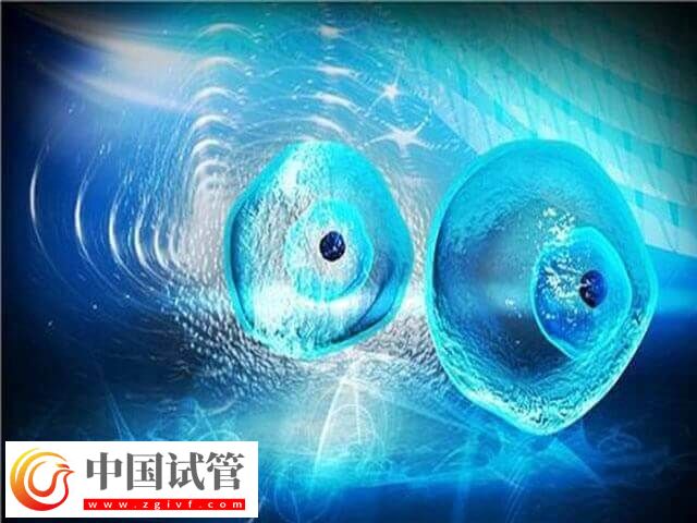 取卵费用和取卵个数有没有关(图1) 取卵费用和取卵个数有没有关(图1)