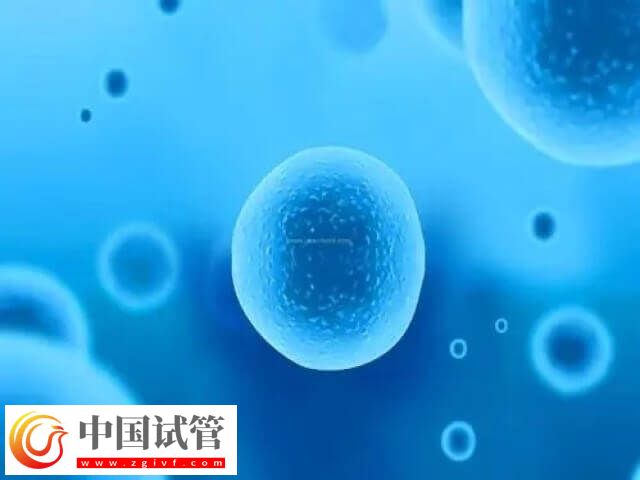 取卵第七天肚子鼓好大是怎么回事(图1) 取卵第七天肚子鼓好大是怎么回事(图1)