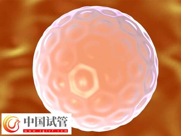 一移失败二移成功率高不高(图1)