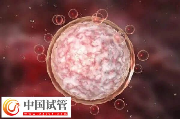达菲林降调成功卵泡是多大(图2) 达菲林降调成功卵泡是多大(图2)