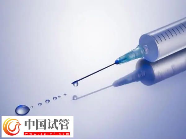 试管促排哪个方案最便宜(图2) 试管促排哪个方案最便宜(图2)