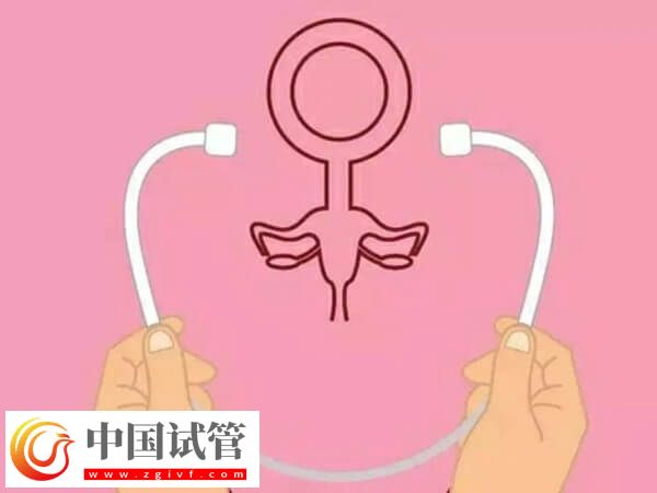 腹腔镜子宫切除手术怎么做(图2) 腹腔镜子宫切除手术怎么做(图2)