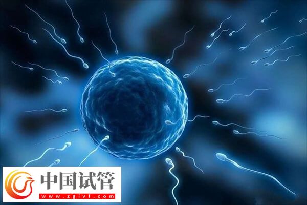 试管移植前几天打免疫球蛋白(图1) 试管移植前几天打免疫球蛋白(图1)