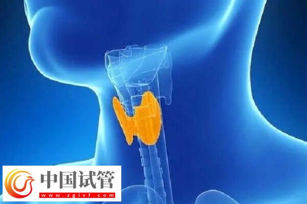试管促排一般用多少支果纳芬(图4) 试管促排一般用多少支果纳芬(图4)