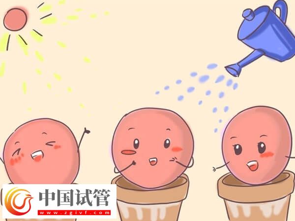 用果纳芬促排的成功率高不高(图1) 用果纳芬促排的成功率高不高(图1)