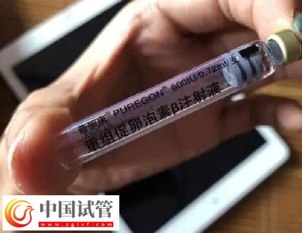 注射普丽康卵泡一天长多少(图4) 注射普丽康卵泡一天长多少(图4)