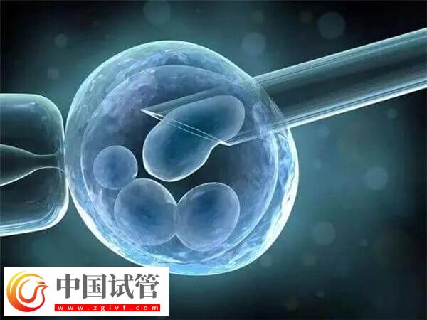 解冻4bb囊胚当天要等几小时才能安排移植?(图1) 解冻4bb囊胚当天要等几小时才能安排移植?(图1)
