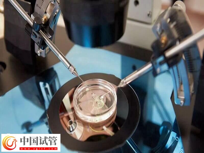 人工授精跟试管婴儿有什么区别(图2) 人工授精跟试管婴儿有什么区别(图2)