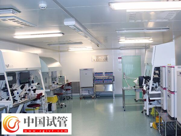 沈阳十大试管医院有哪些(图2) 沈阳十大试管医院有哪些(图2)