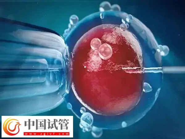短方案取卵后多久移植胚胎(图1) 短方案取卵后多久移植胚胎(图1)