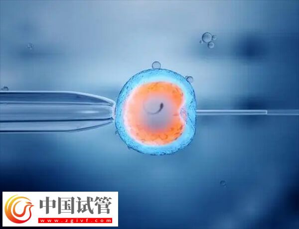 北京协和医院做试管要什么证件(图2) 北京协和医院做试管要什么证件(图2)