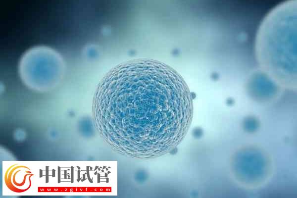 海口试管哪家成功率比较高(图1)