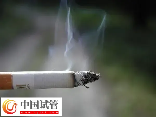 试管婴儿移植后吸烟的危害有哪些(图1) 试管婴儿移植后吸烟的危害有哪些(图1)