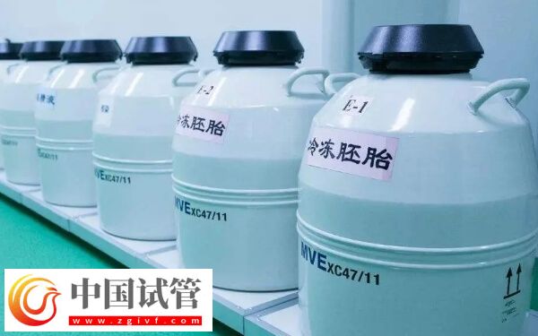 移植冻胚月经期检查什么(图1) 移植冻胚月经期检查什么(图1)