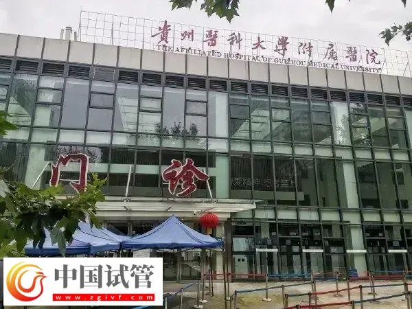 贵州医科大学附属医院供卵试管婴儿费用多少(图1)