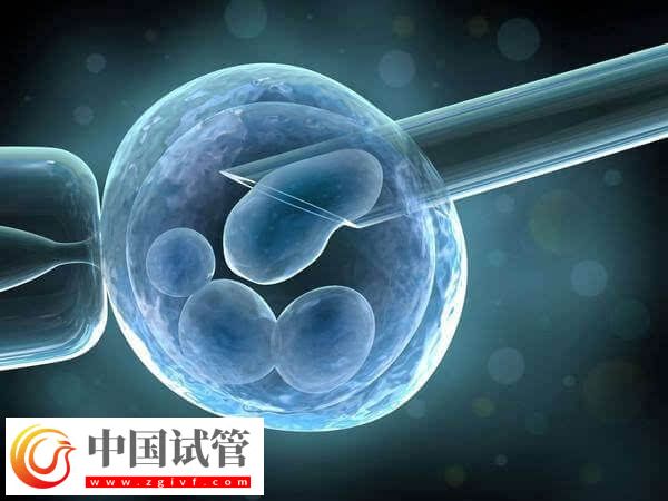 三代试管婴儿一个周期多长时间(图2)