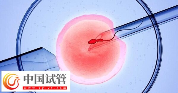 三代试管婴儿一个周期多长时间(图3)