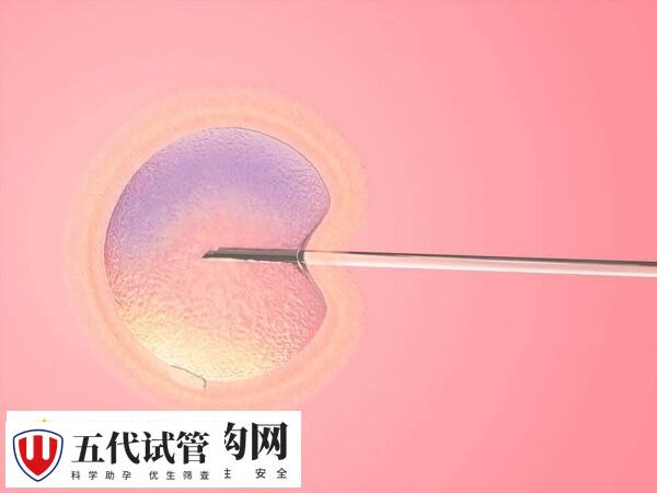 医院试管婴儿成功率