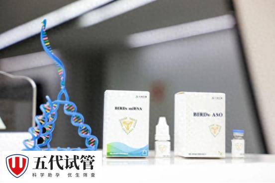 全球首个！四川团队研发10纳米“核酸高铁”开启人体临床研究