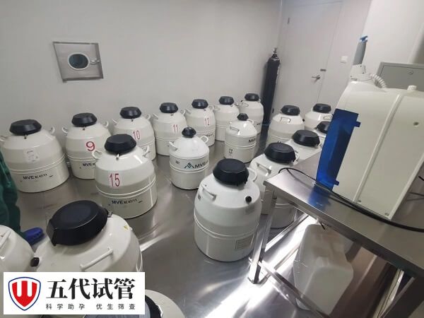 试管剩余的胚胎可进行科学研究捐赠