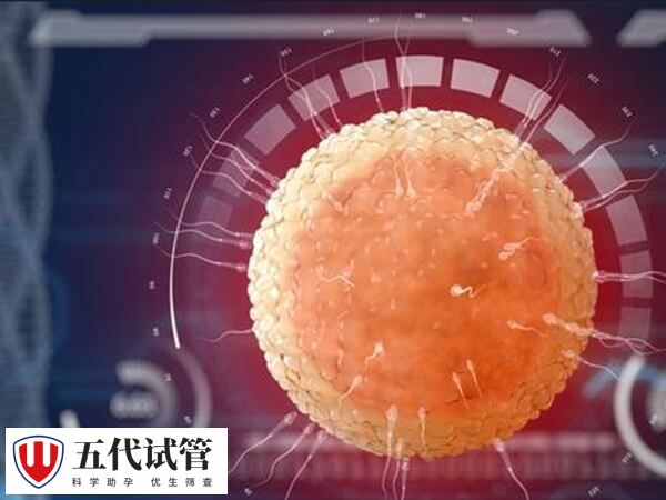 冻胚保存时间通常不影响胚胎质量