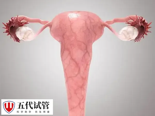子宫腺肌症保胎不能盲目用药